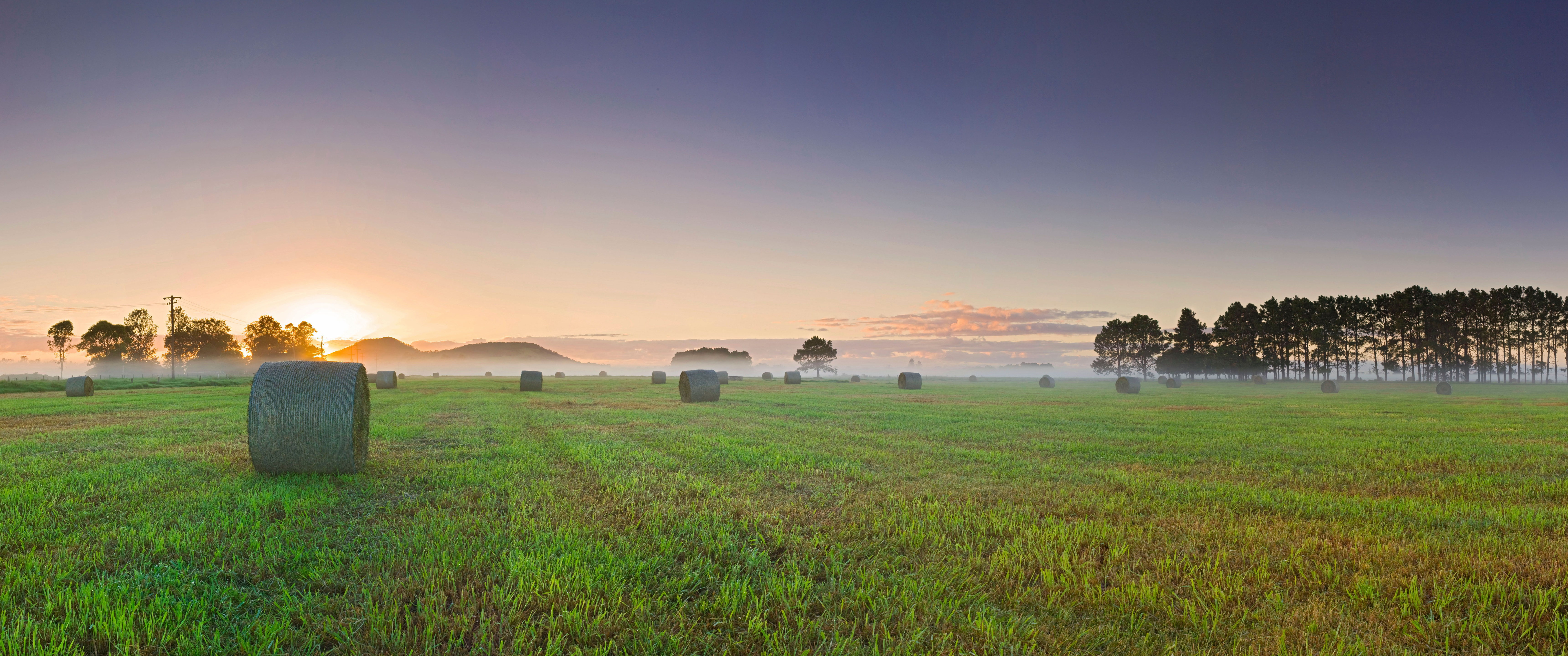 Hay Field