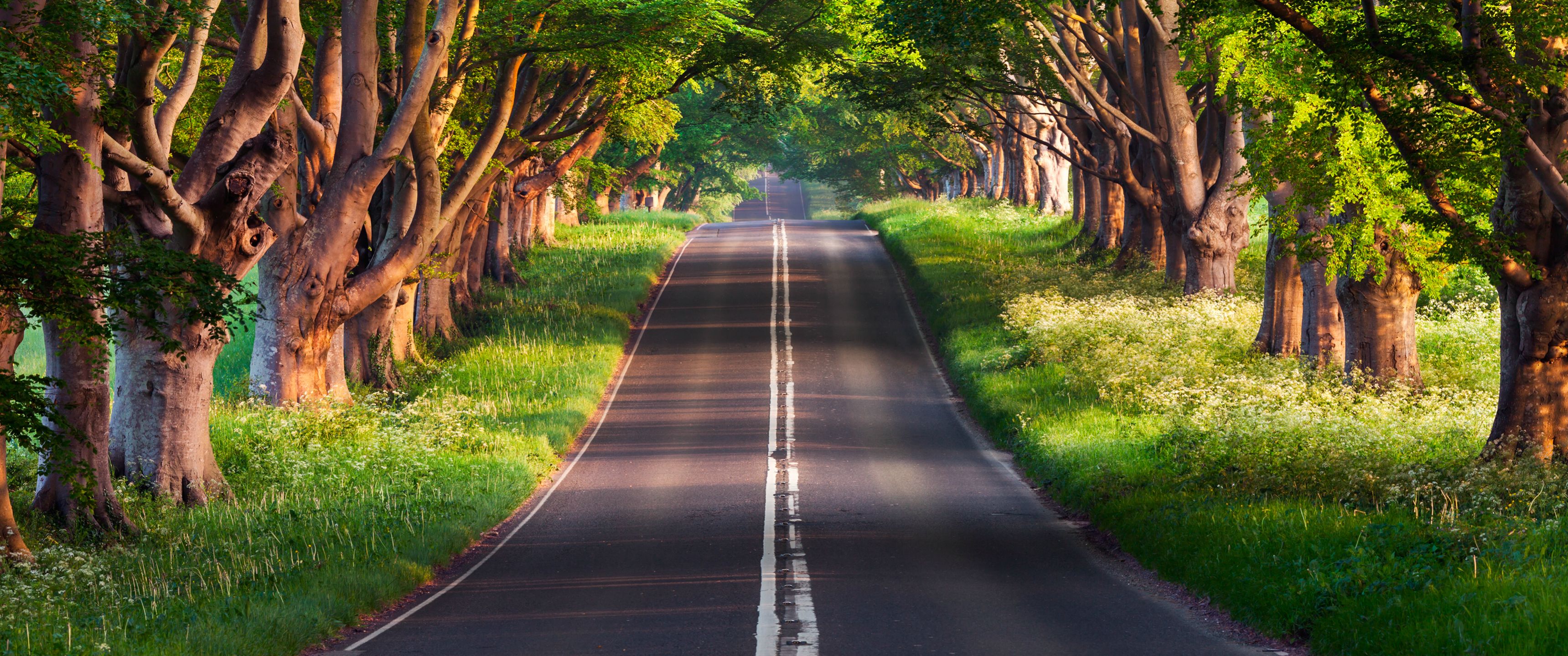 Road